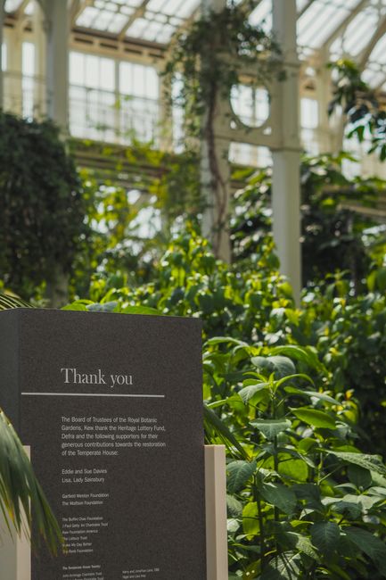 Inside a bright and spacious greenhouse with a glass ceiling allowing natural light to illuminate lush green plants and foliage. In the foreground, there is a black informational board with a 'Thank you' message, listing supporters of the Royal Botanic Gardens, Kew. The background showcases a variety of green plants, some in pots and others growing directly from the soil, with a wooden support structure visible behind them. The environment appears clean and well-maintained, with a focus on plant preservation and conservation. This setting reflects a botanical or horticultural site where house removals or relocation services by Man with Van Kew might occur, especially when considering transport of fragile items or delicate plants during home relocation or furniture transport processes, possibly requiring permits like those discussed in the 'Do you need a Richmond Council permit for Kew moves?' page.