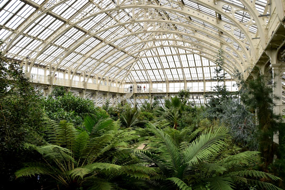 Inside a large glass conservatory with an arched, metal-framed roof allowing natural light to illuminate the space. The interior features a dense collection of lush, green tropical plants with various leaf shapes, including ferns and palm-like foliage. Along the upper walkway, visible in the background, two individuals are seen standing near railing, possibly involved in a home relocation or packing process related to removals services. The conservatory's structure showcases cream-colored metal supports and intricate detailing, with the scene suggesting a phase of furniture transport or packing of fragile items for a move, supported by the context of house removals near Kew Gardens. The environment emphasizes careful handling and the interior setting where moving activities such as loading or packing fragile antiques could be taking place, as part of a professional removal service from Man with Van Kew.