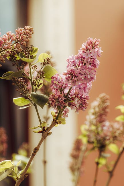 Close-up view of pink flowering branches with clusters of small blossoms and green leaves, positioned inside a building near a window with sunlight filtering through. The flowers are part of a decorative arrangement or indoor plant, with soft-focus background elements and warm lighting. The image captures the natural textures of the petals and foliage, highlighting their vibrant pink hue and fresh appearance. This scene is unrelated to house removals or moving services, focusing instead on botanical details within an interior setting, which could be relevant to home decoration during a relocation process. Occasionally, Man with Van Kew may use such imagery to evoke a sense of home and scenery. No furniture, boxes, or transport equipment are visible in this photo.